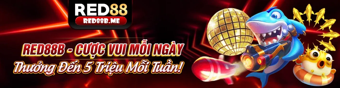 Đọc kỹ điều khoản và điều kiện khuyến mãi 789live casino
